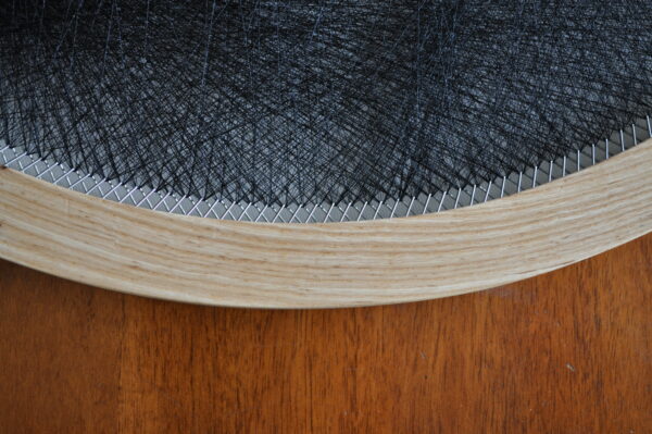L'hoest's Monkey - Image 2