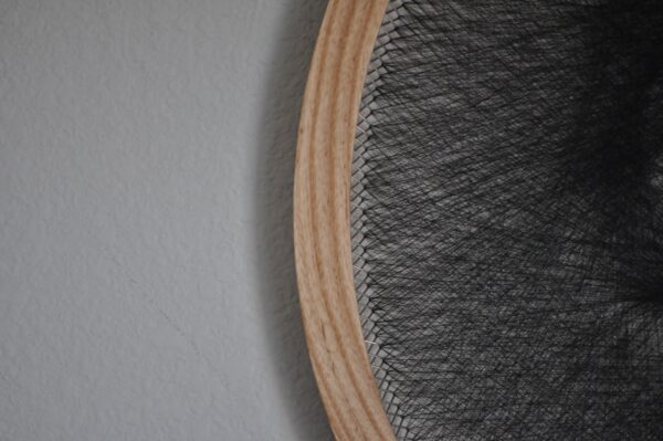 L'hoest's Monkey - Image 3