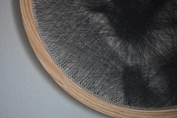 L'hoest's Monkey - Image 2
