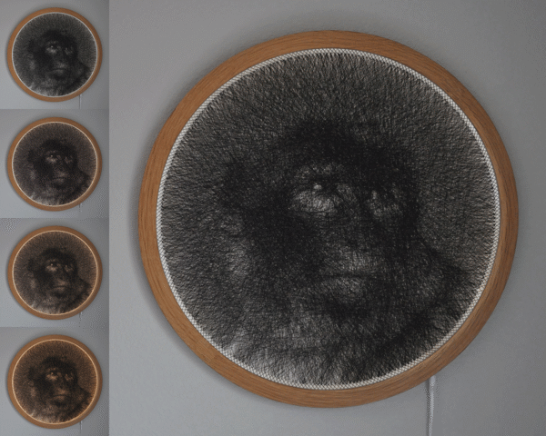 Macaque
