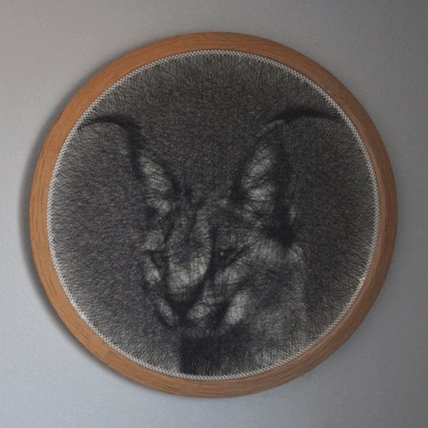 Caracal