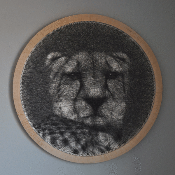 Cheetah