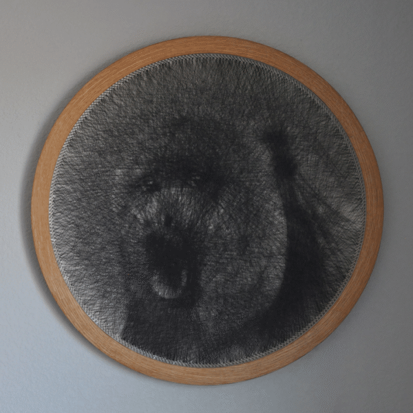 Howler Monkey