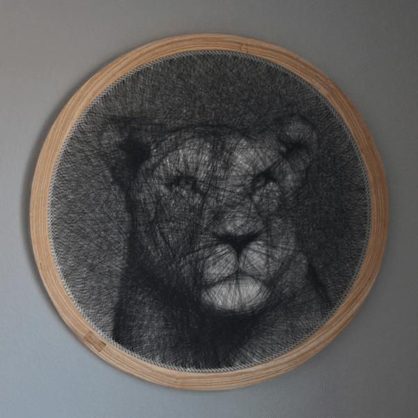 Lioness