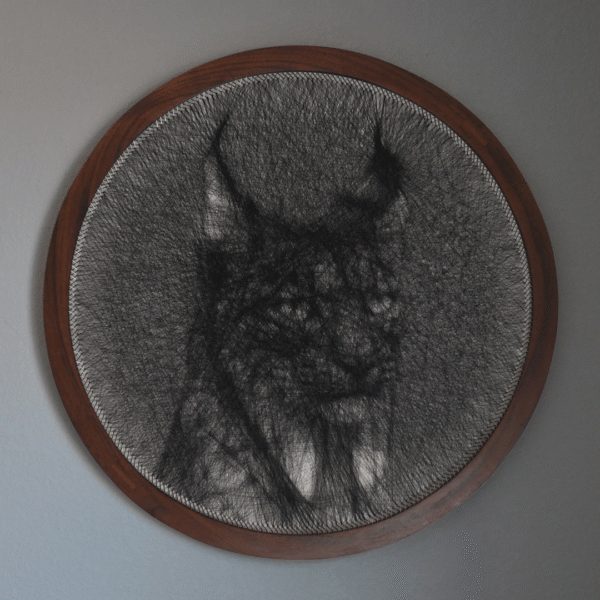 Iberian Lynx