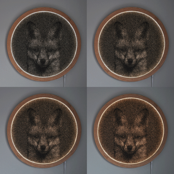 Desert Fox - Image 5