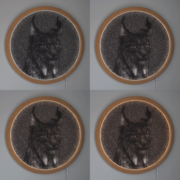 Iberian Lynx - Image 4