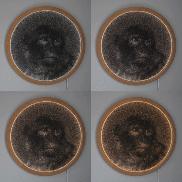 Macaque - Image 4