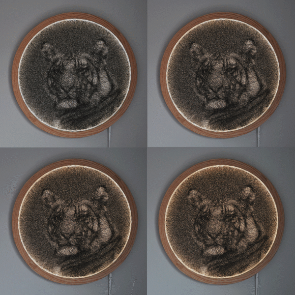 Tiger Cub - Image 5